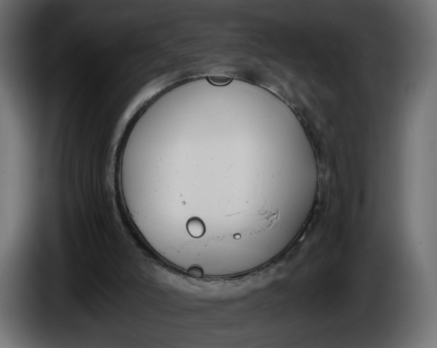 X0000086340006200704131753