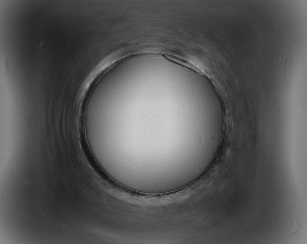 X0000086340007200704131753