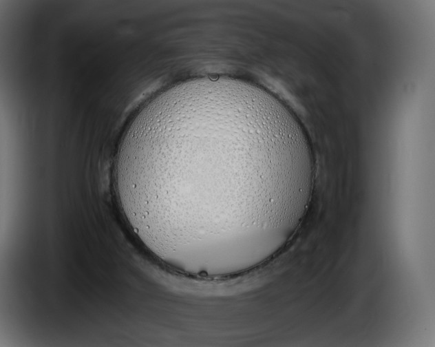 X0000086340010200704131753