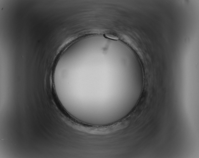 X0000086340011200704131753
