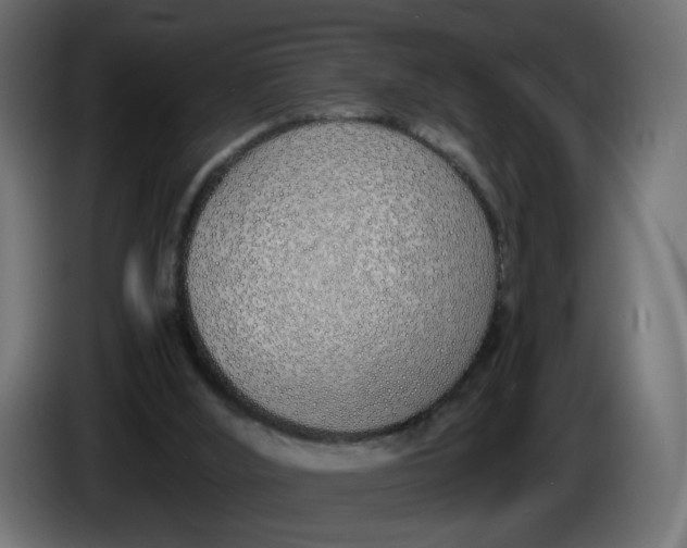 X0000086340012200704131753