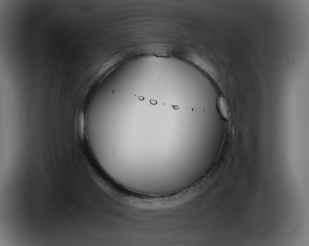 X0000086340013200704131753