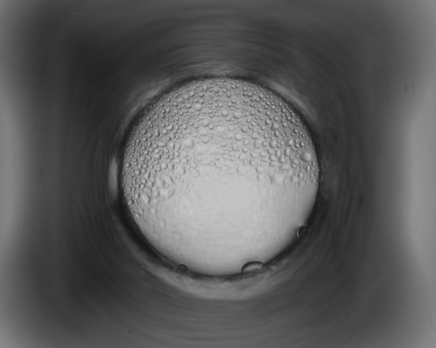 X0000086340014200704131753