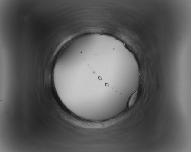 X0000086340015200704131753