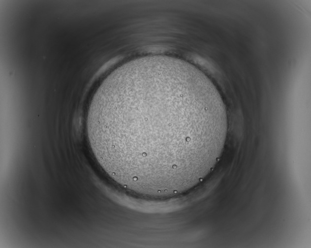 X0000086340016200704131753