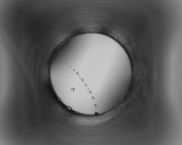 X0000086340017200704131753