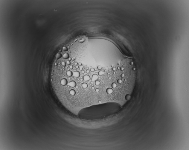 X0000086340018200704131753