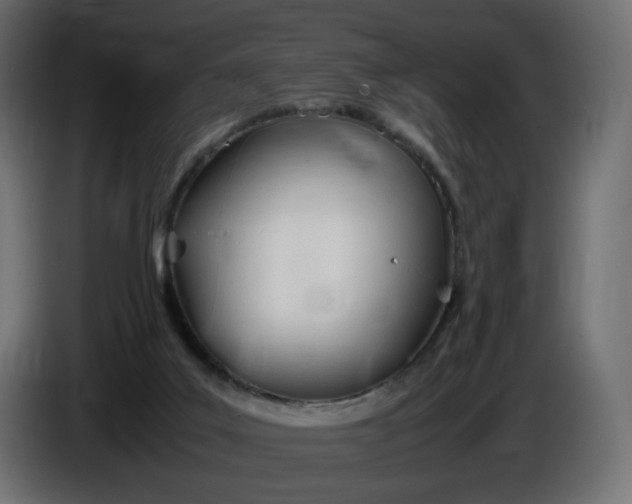 X0000086340019200704131753