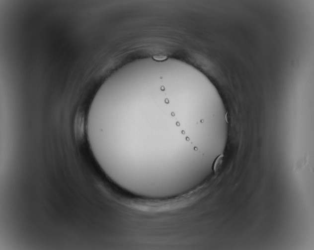 X0000086340021200704131753