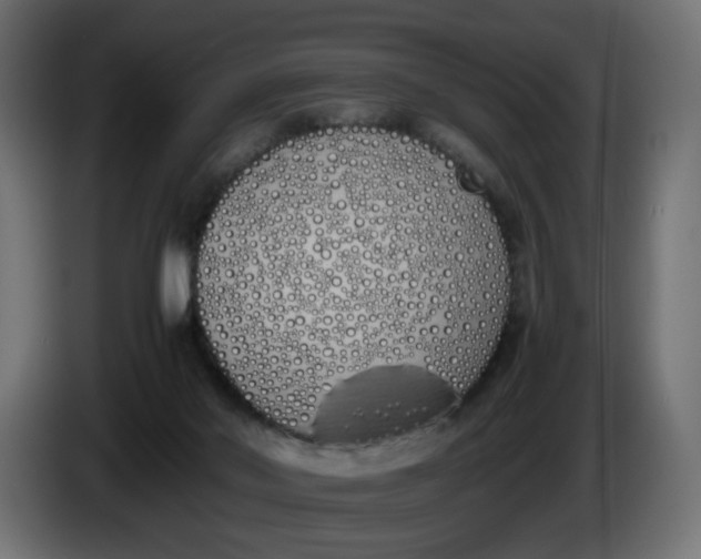 X0000086340022200704131753