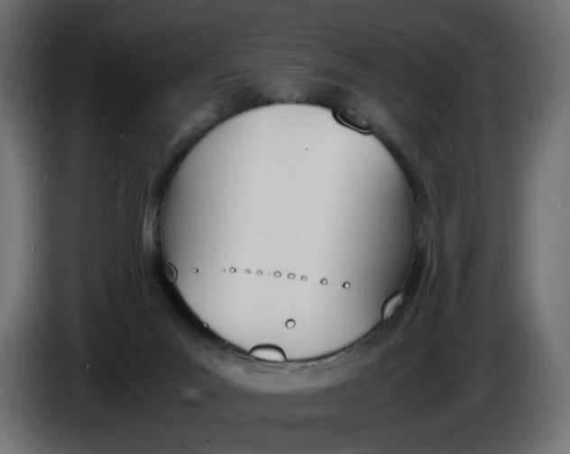 X0000086340023200704131753