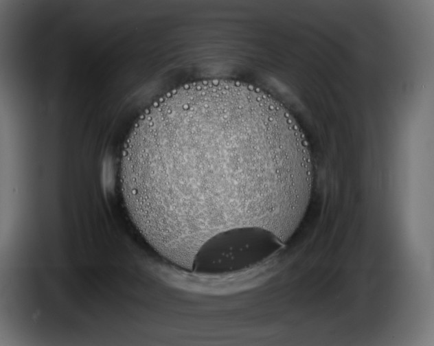 X0000086340026200704131753