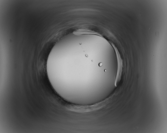 X0000086340029200704131753