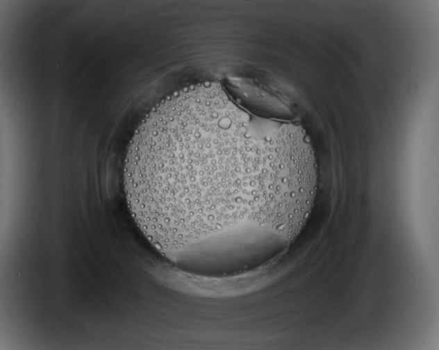 X0000086340030200704131753