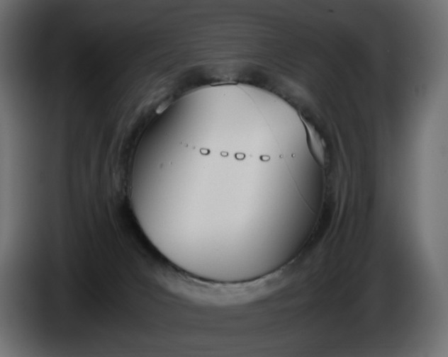 X0000086340031200704131753