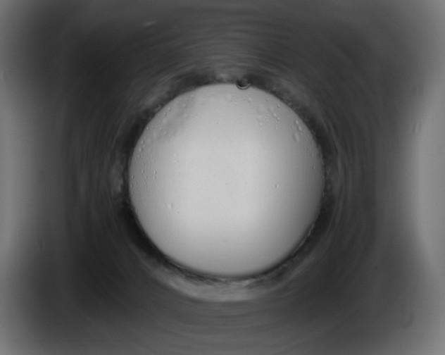 X0000086340032200704131753