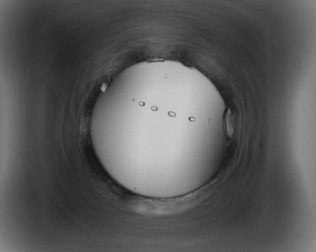 X0000086340033200704131753