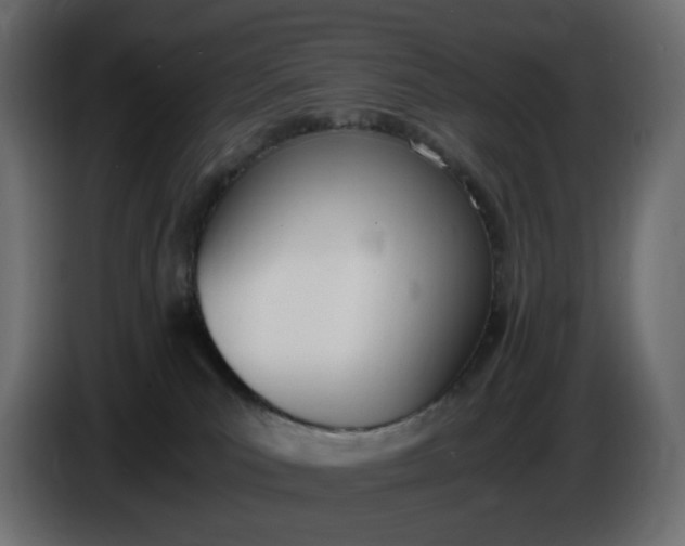 X0000086340039200704131753