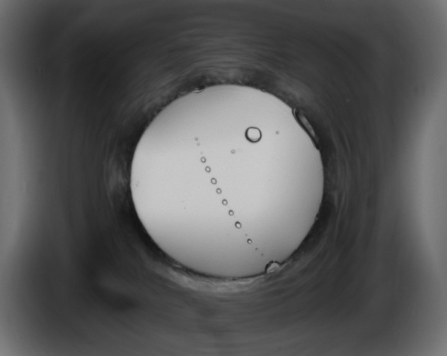 X0000086340040200704131753