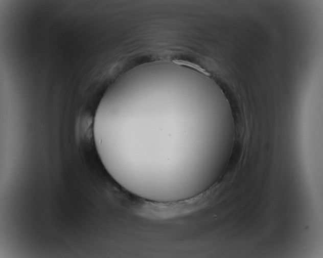 X0000086340041200704131753