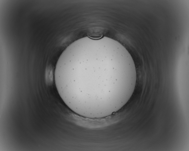 X0000086340042200704131753