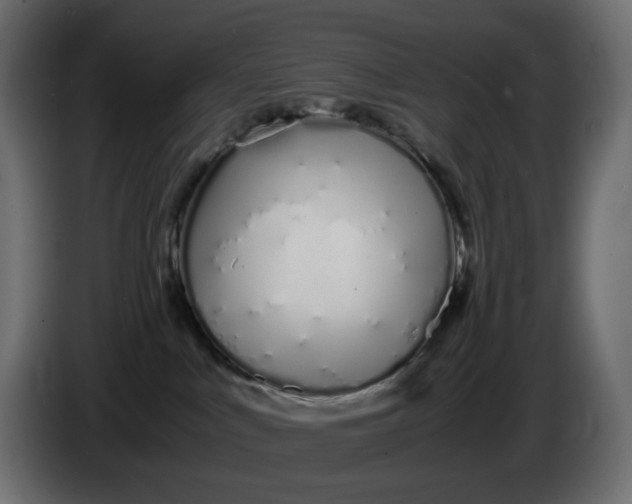 X0000086340043200704131753