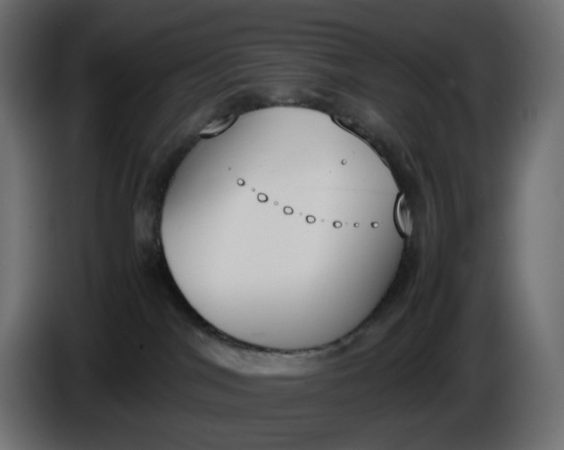 X0000086340044200704131753