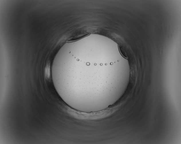 X0000086340046200704131753