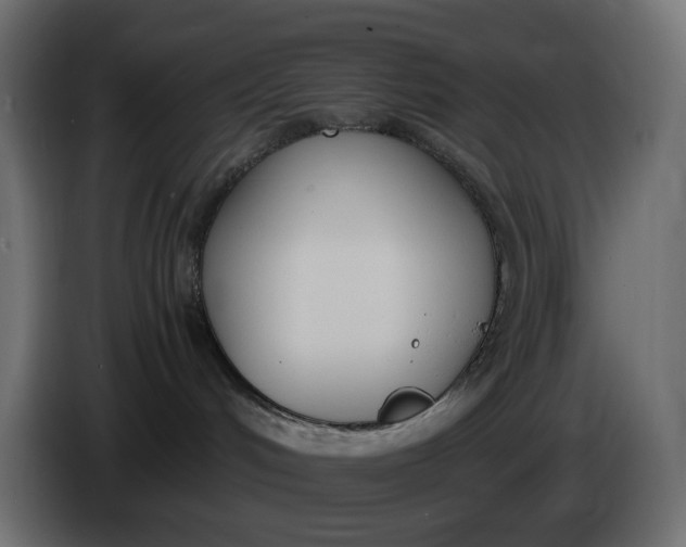 X0000086340048200704131753