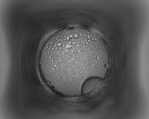 X0000086340049200704131752