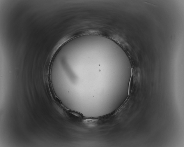 X0000086340051200704131752