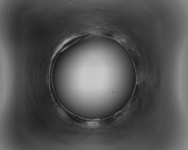 X0000086340052200704131752