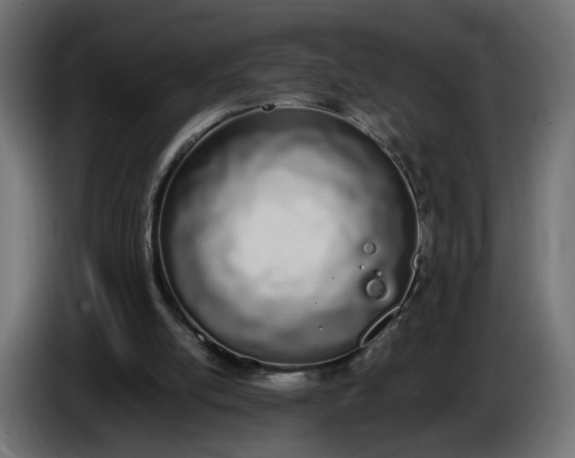 X0000086340054200704131752