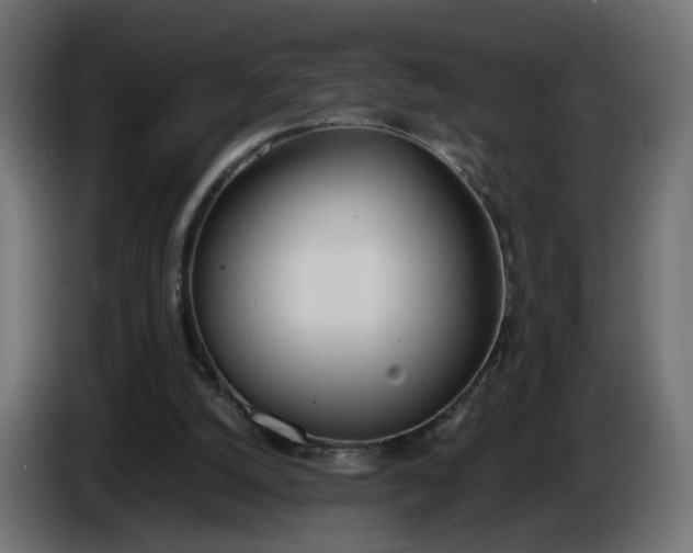 X0000086340056200704131752