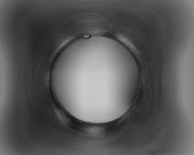 X0000086340058200704131752