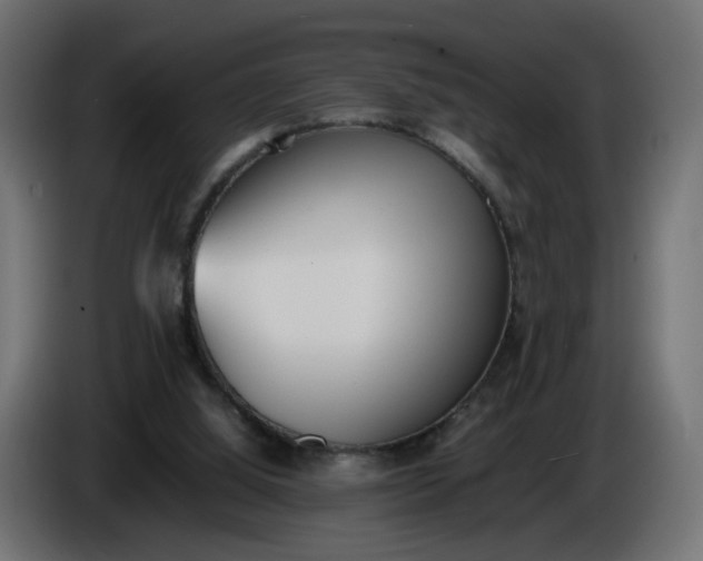 X0000086340060200704131752