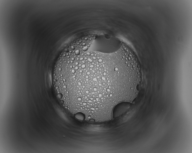 X0000086340061200704131752