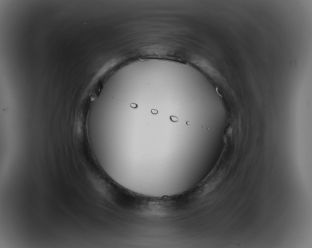 X0000086340064200704131752