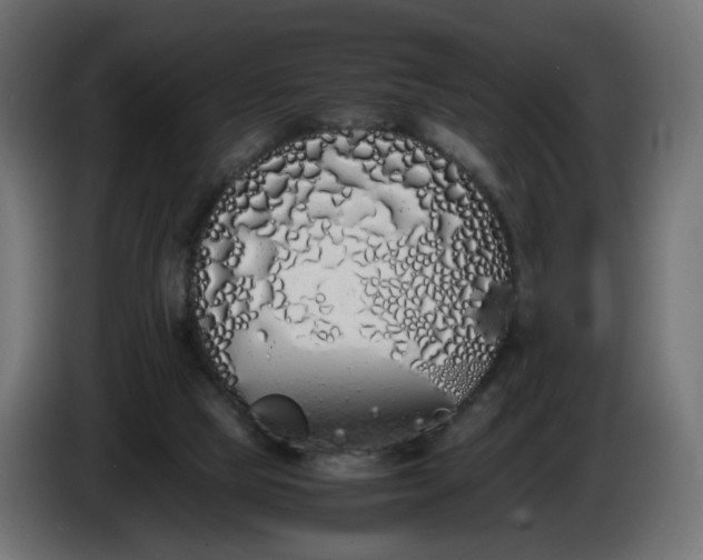 X0000086340065200704131752