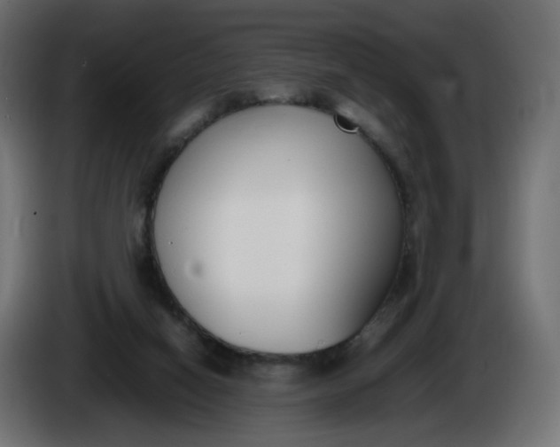 X0000086340066200704131752