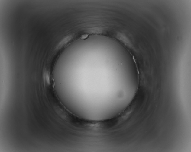 X0000086340068200704131752