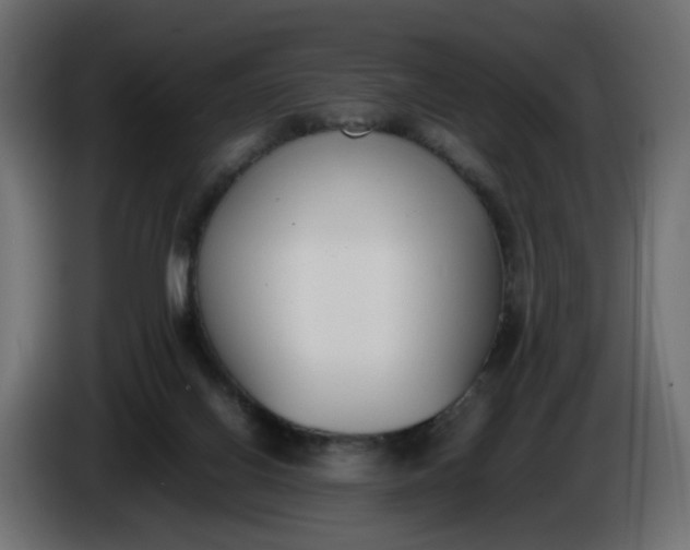 X0000086340070200704131753