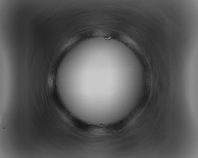 X0000086340071200704131753