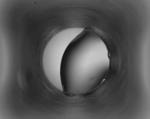 X0000086340072200704131753