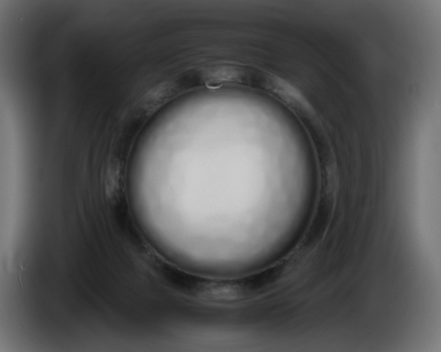 X0000086340073200704131753