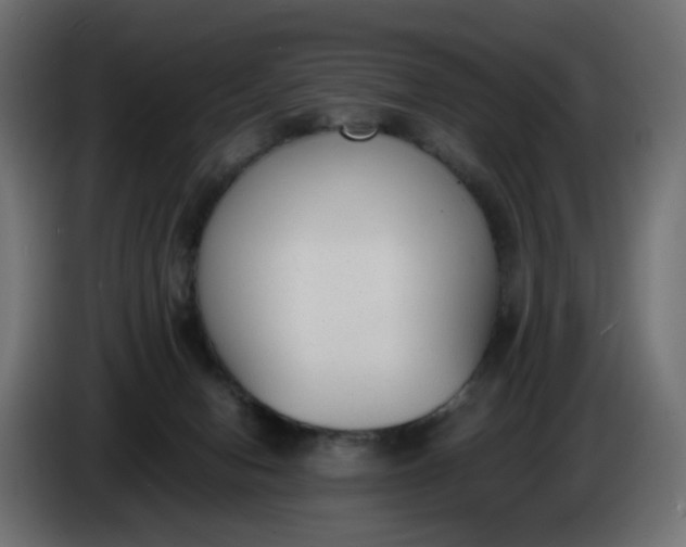 X0000086340078200704131753