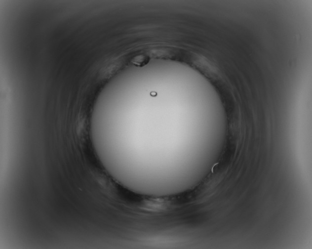 X0000086340079200704131753