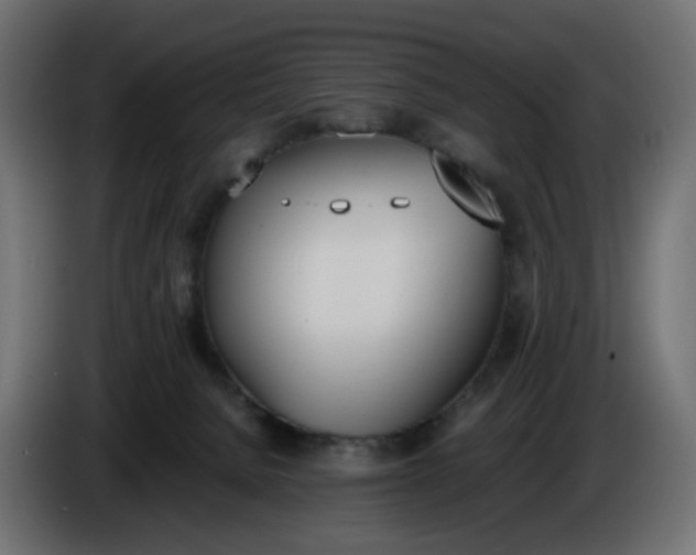 X0000086340080200704131753