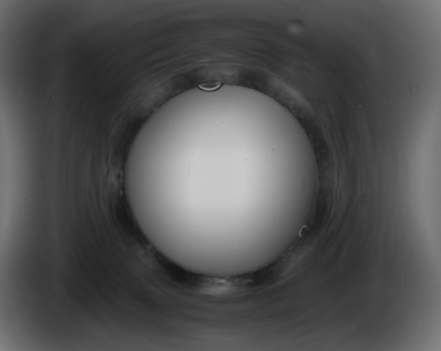 X0000086340083200704131753