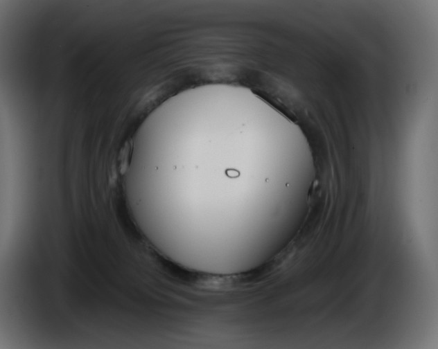 X0000086340084200704131753